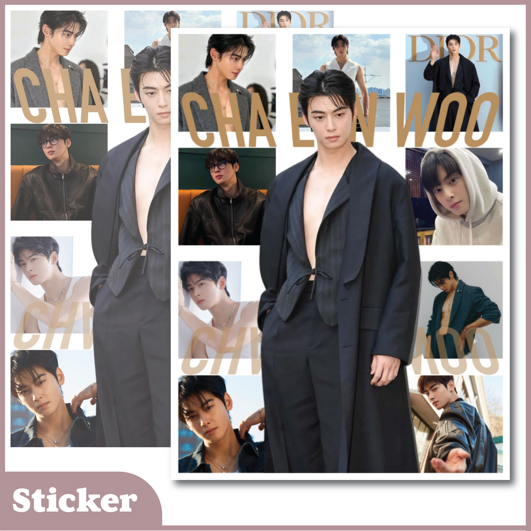 Cha Eun Woo Sticker